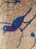 Bird.JPG