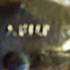 20180722_203659_Burst01.jpg