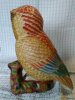 owl4.jpg