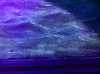 5C671320-C5C0-426C-B7BB-7E36A52BE4FB.jpeg