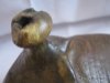 07-IMG_5146.JPG