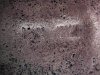 IMG_8801.jpeg
