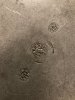 IMG_1405.jpeg
