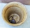 planter pot2.jpg
