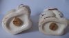 cat shakers4c.jpg
