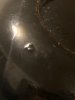 IMG_9415 Medium.jpeg