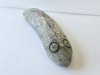 stone1.jpg