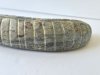 stone8.jpg