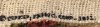 IMG_7170.jpeg