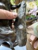 IMG_0864.jpeg