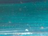 IMG_4262.jpeg