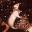 upload_2026-5-24_9-50-46.jpeg
