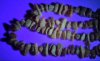 Lumii_20260820_195415051.jpg