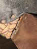 IMG_2612 Small.jpeg