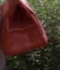 Dodgsons bag 3.png
