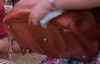Dodgsons bag 5.png