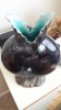 20170801_130745.jpg