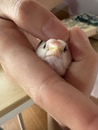 YUKA