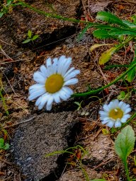 Jonathan Goodpasture