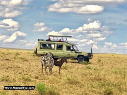 Alyson Damery-Ouellette