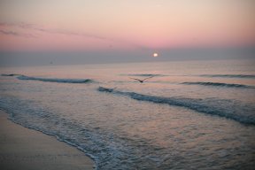 BeachSmiles
