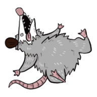 Opossum