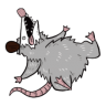 Opossum