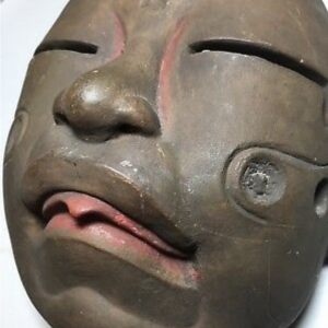 Egg Tooth 1