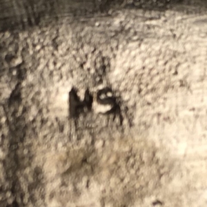 agate snuff box3.jpg