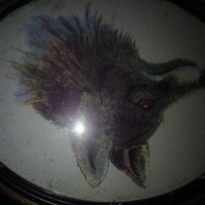 The fox