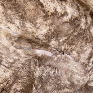 Fur