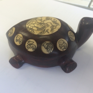 Turtle Compass