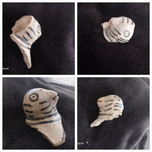Possible ancient Anasazi pottery