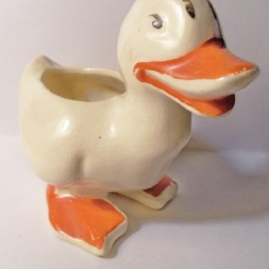 duck planter