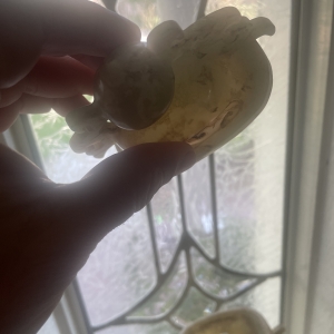 Jade or Serpentine? #4