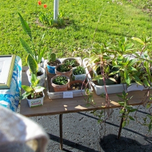 Garage sale