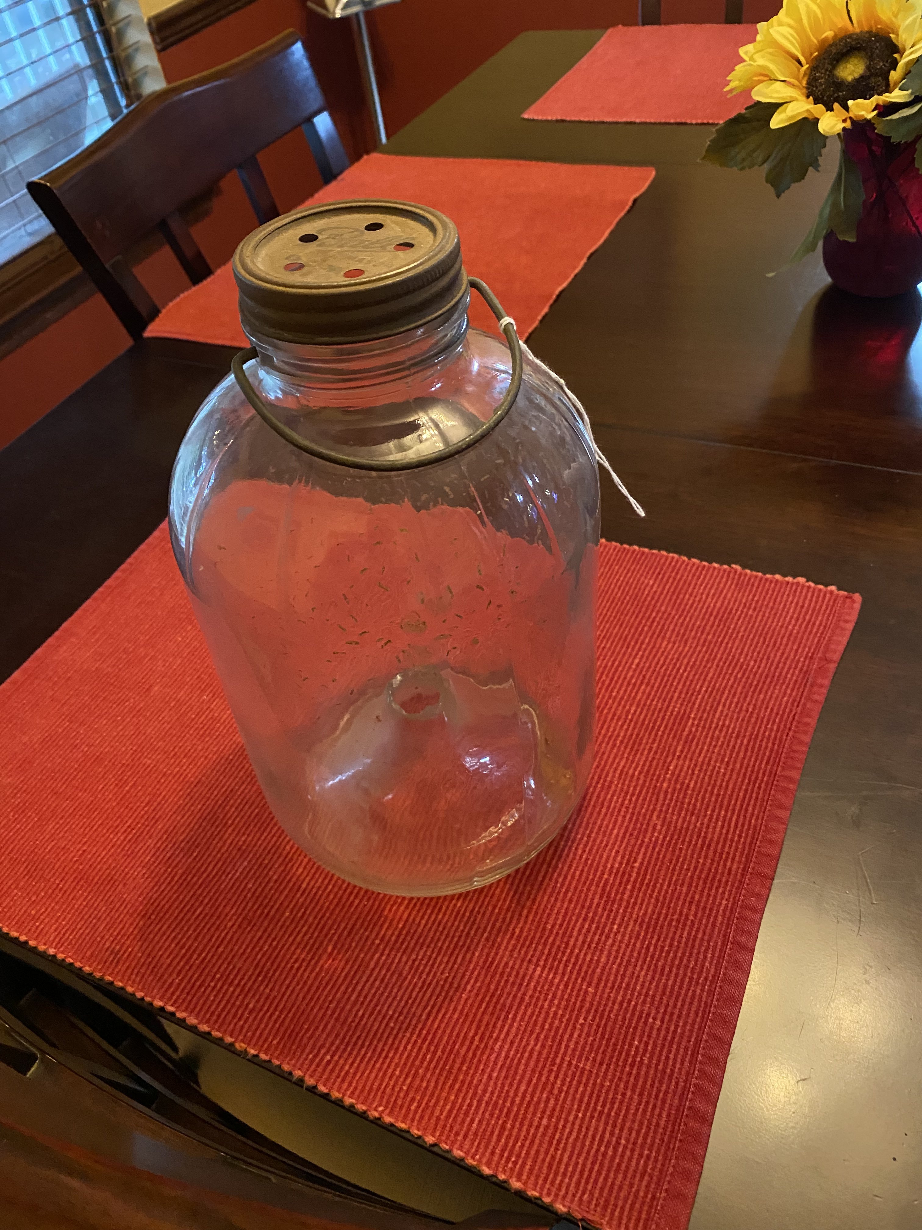 Ball jar