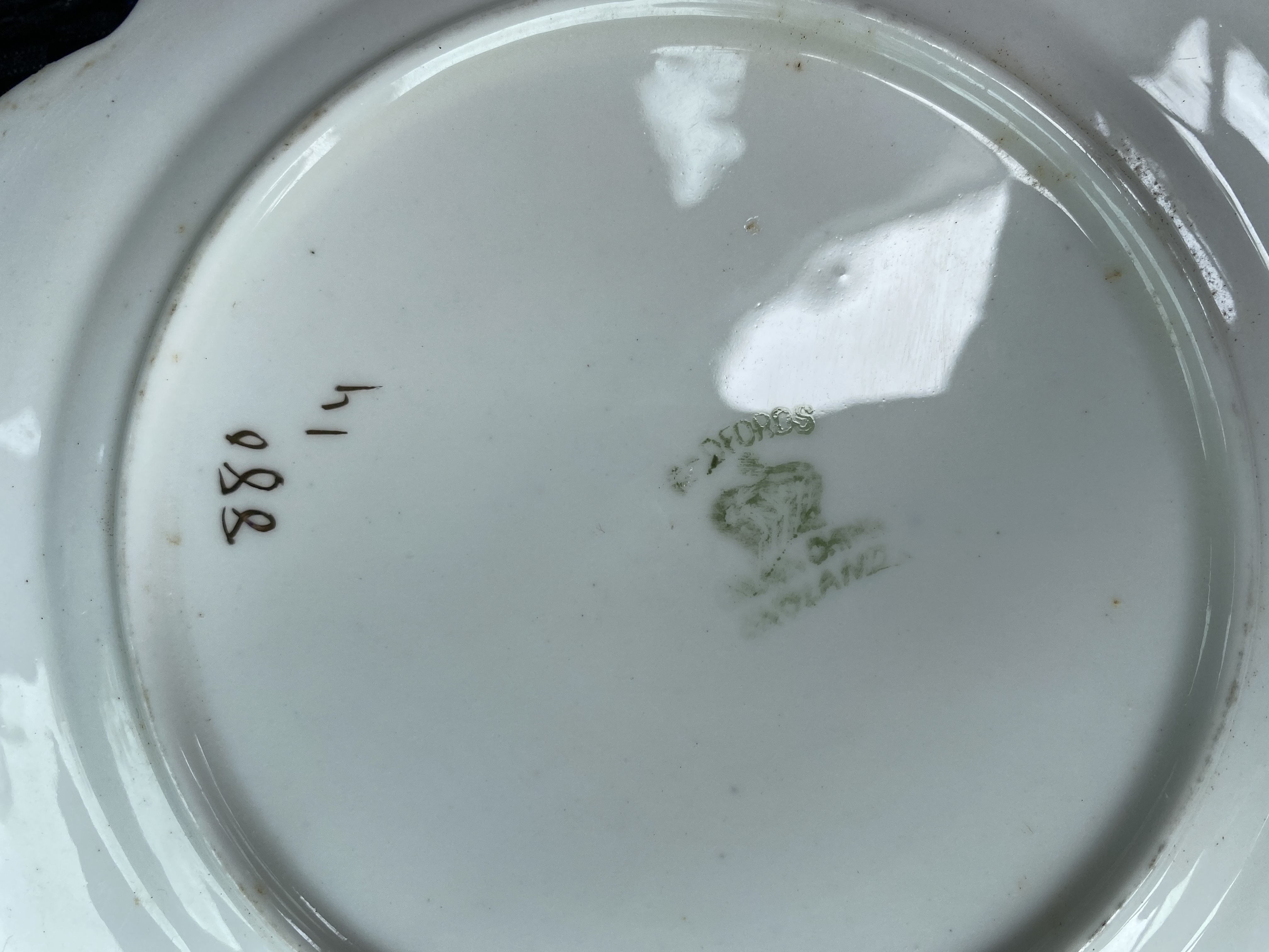 Blue plate watermark and number