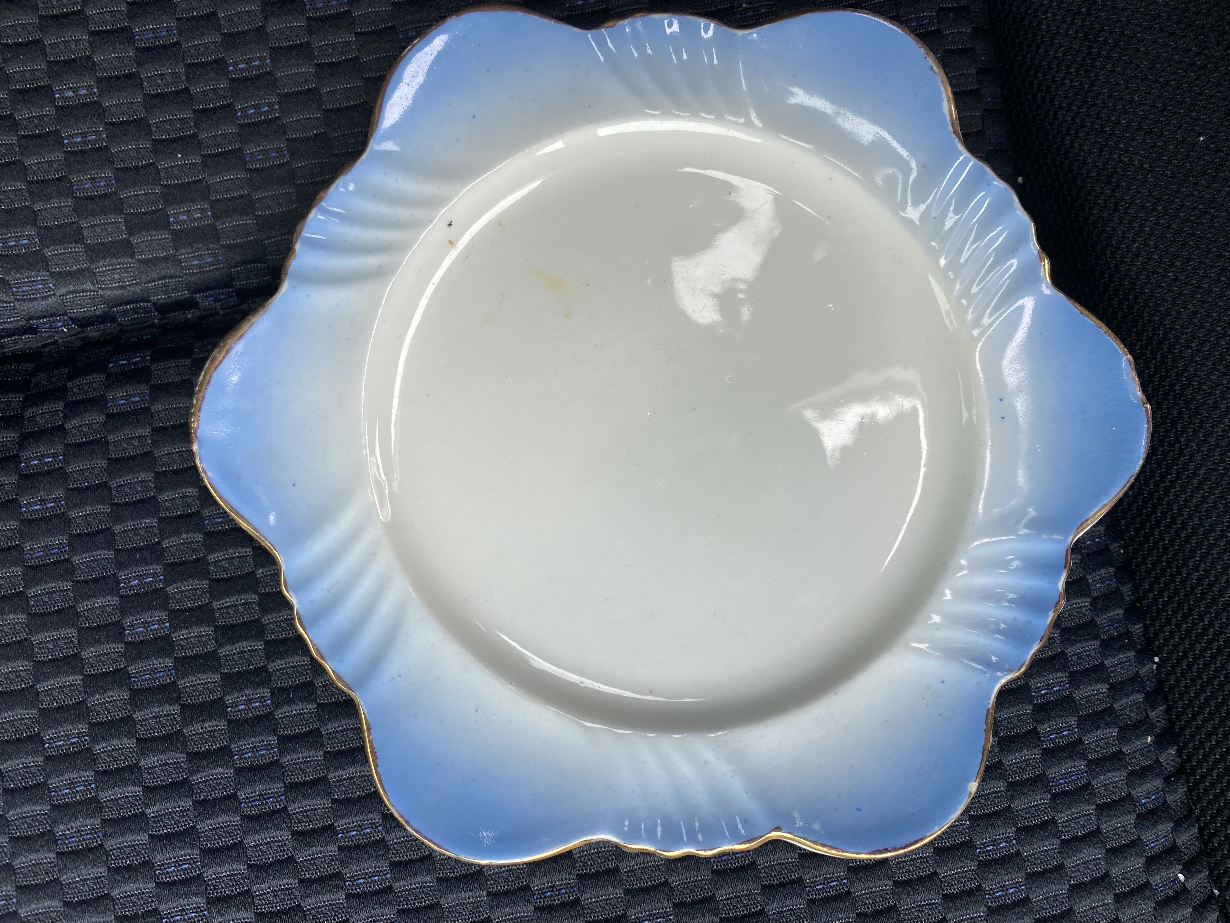 Blue plate