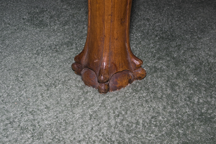 Foot