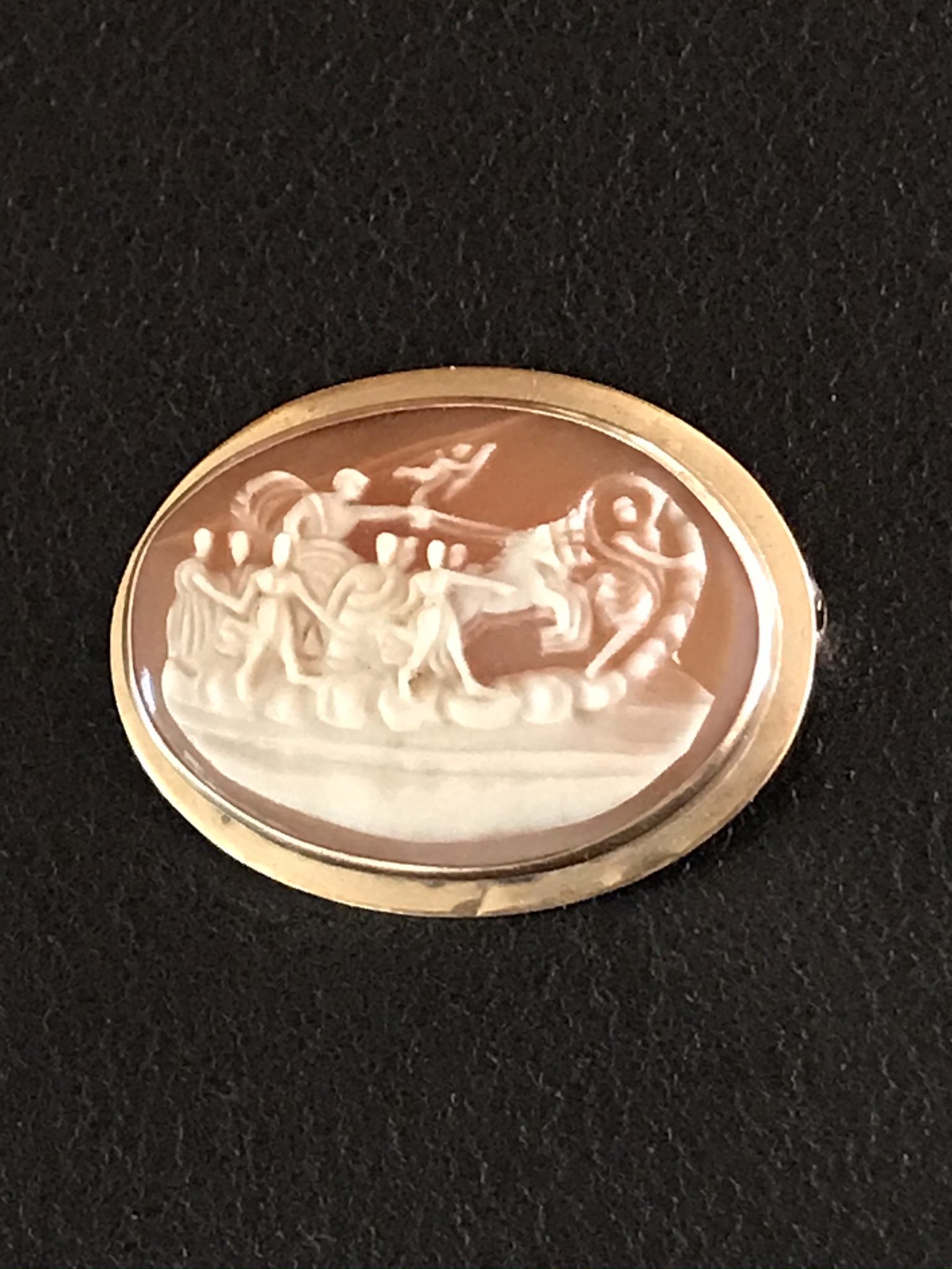 Great Grandmother's Cameo