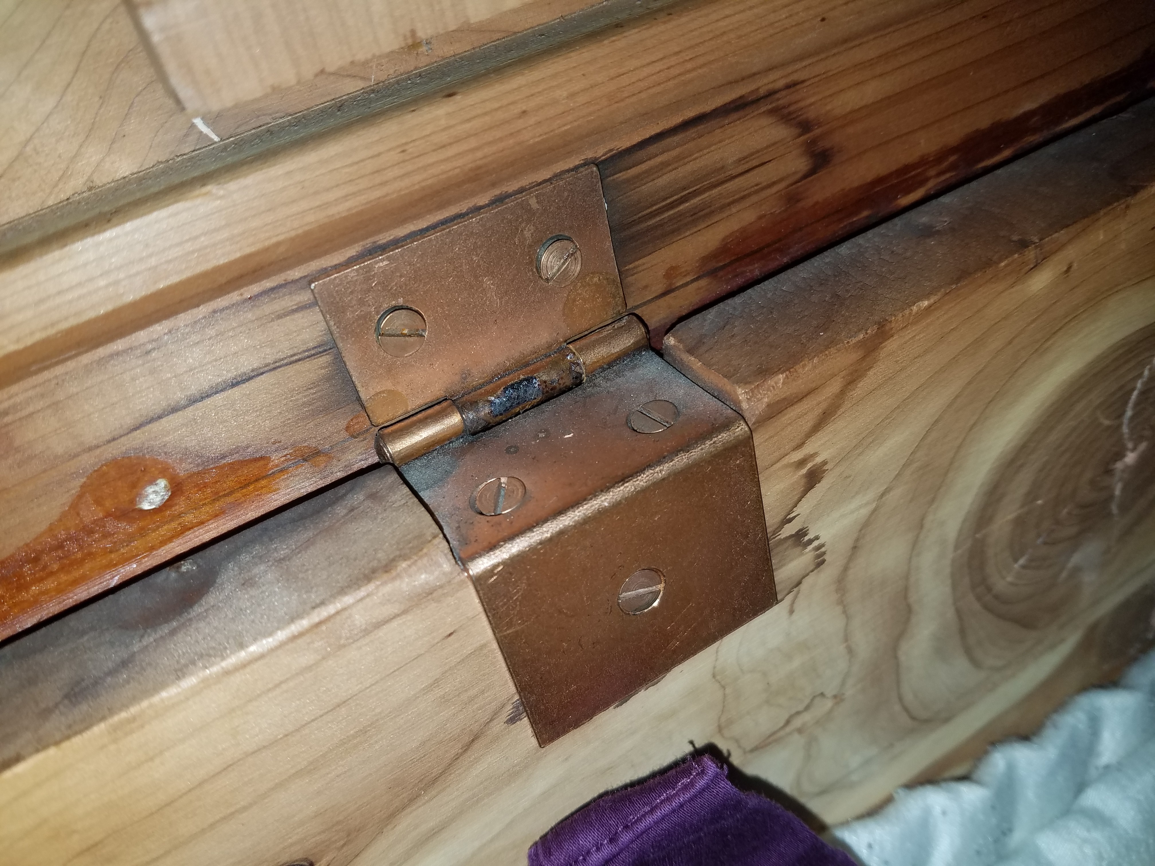 hinge (possible newer hardware?)