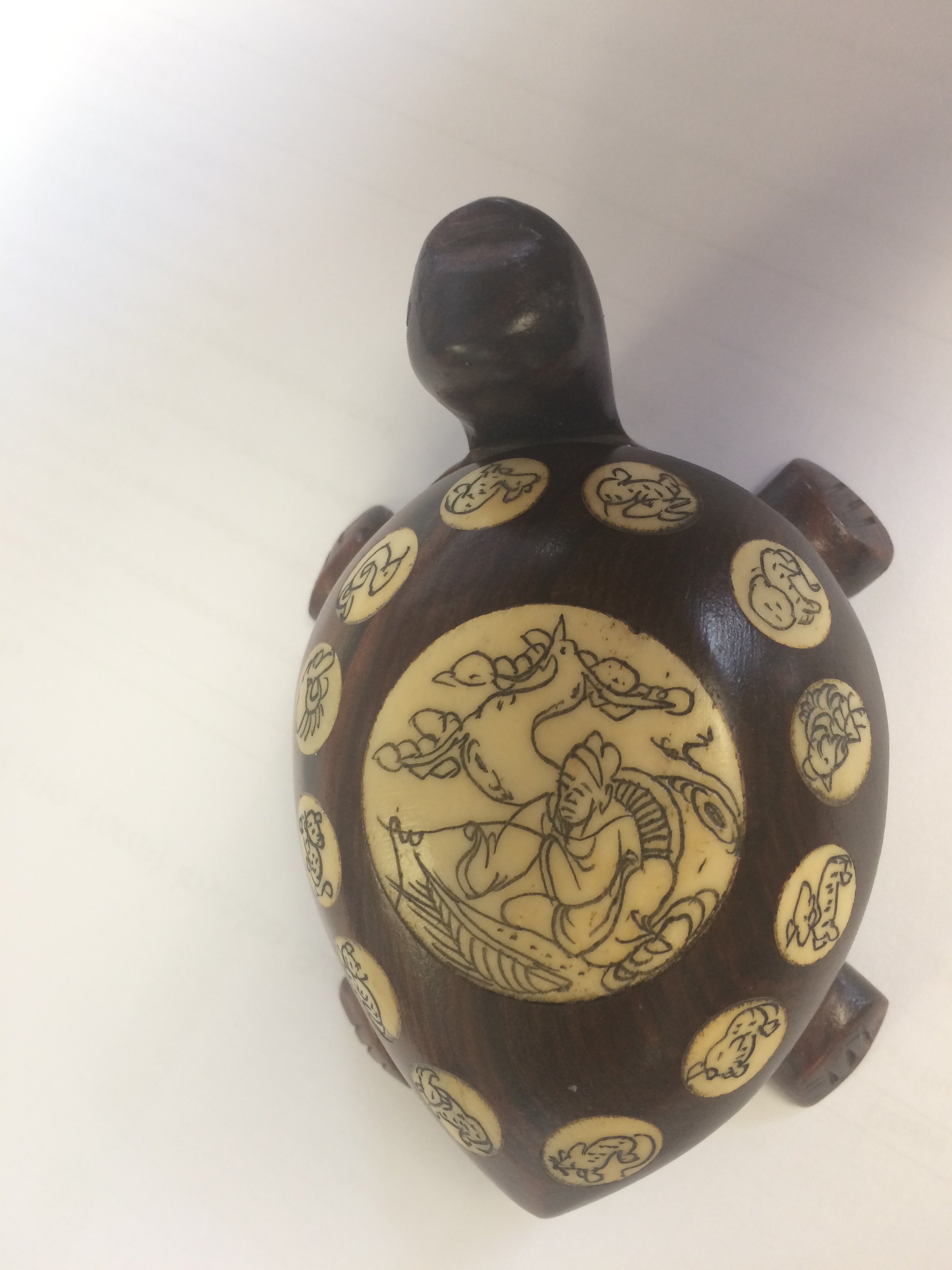 Turtle Compass