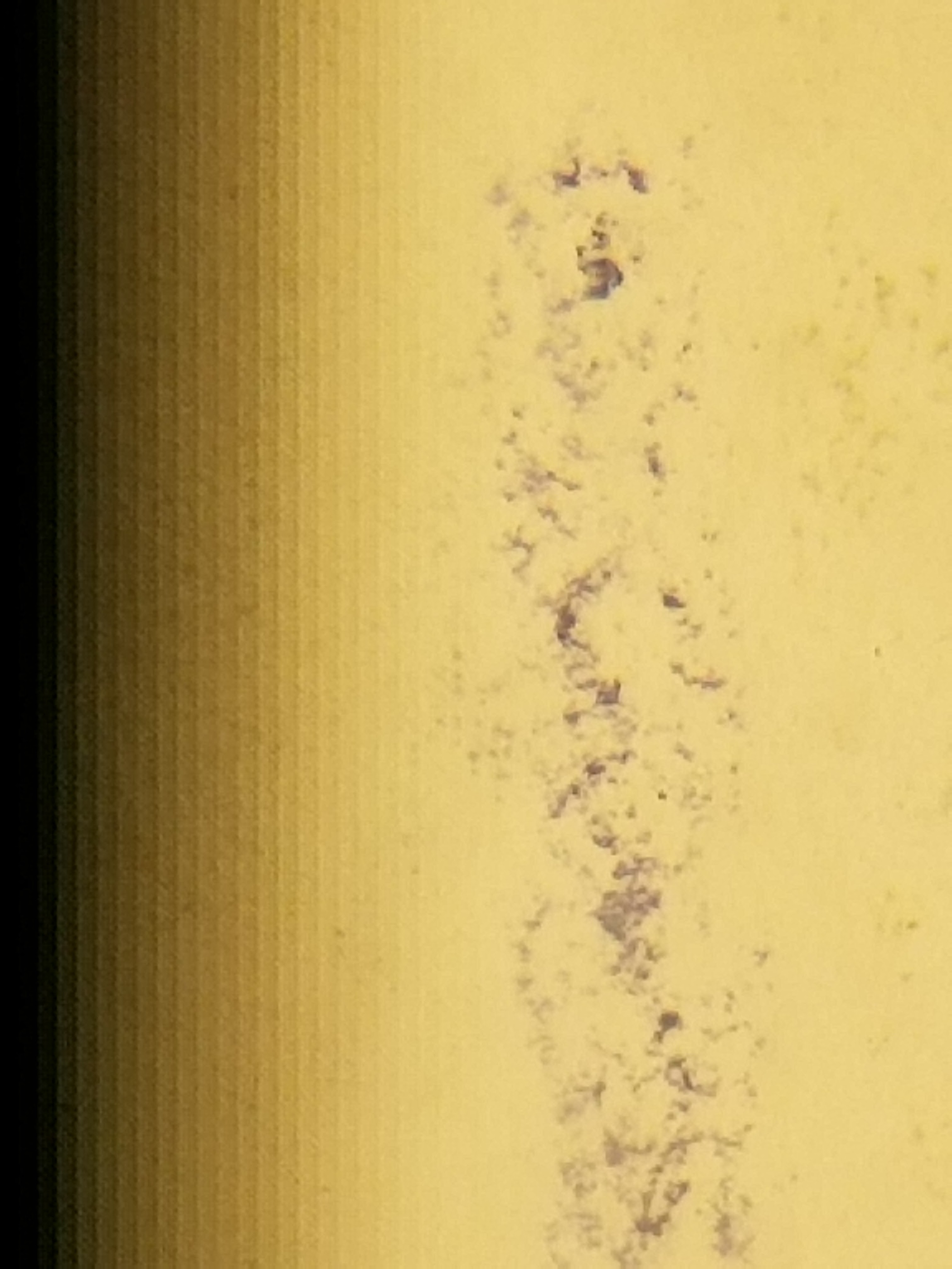 Watermark view