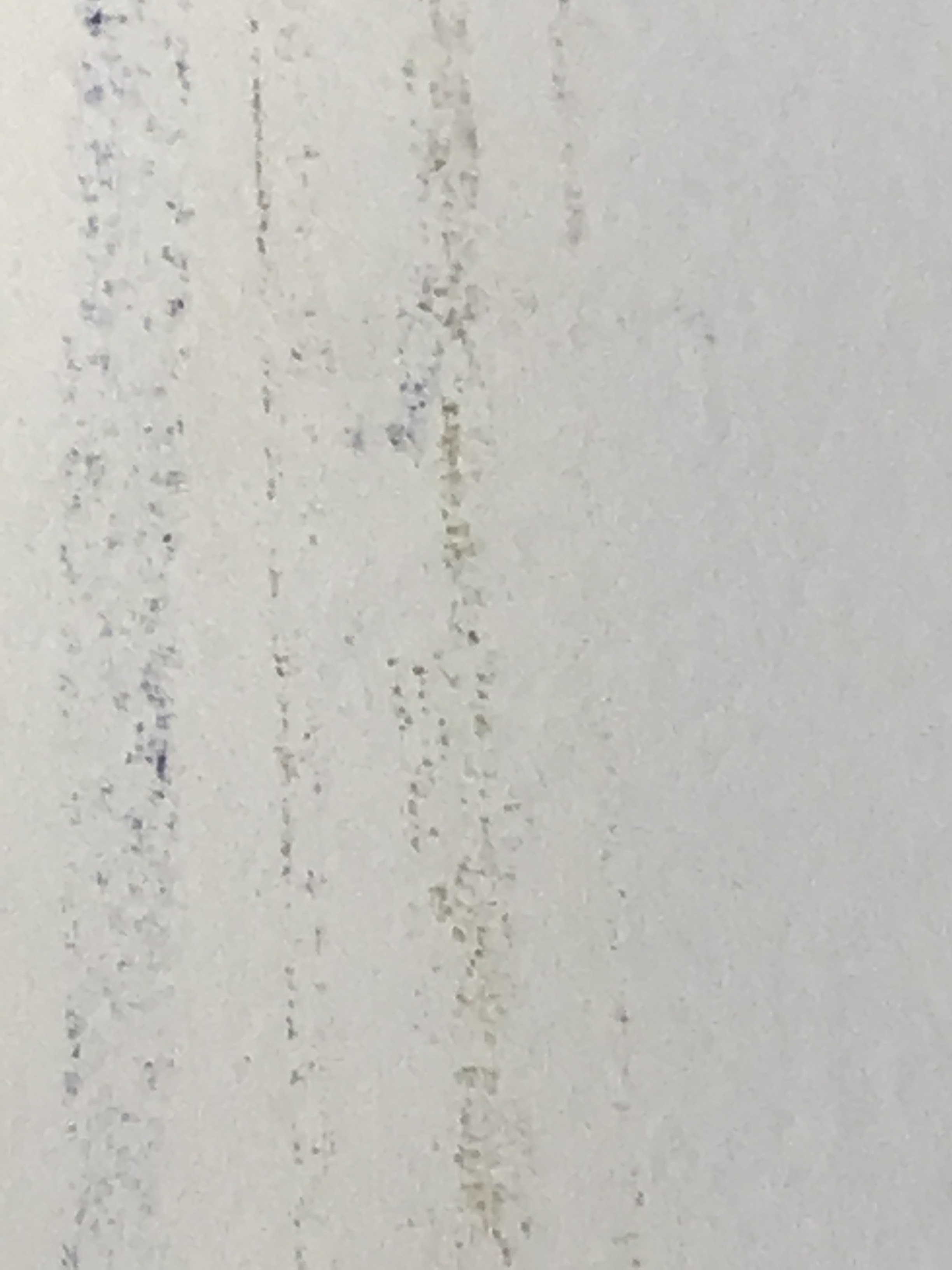 Watermarks. Center