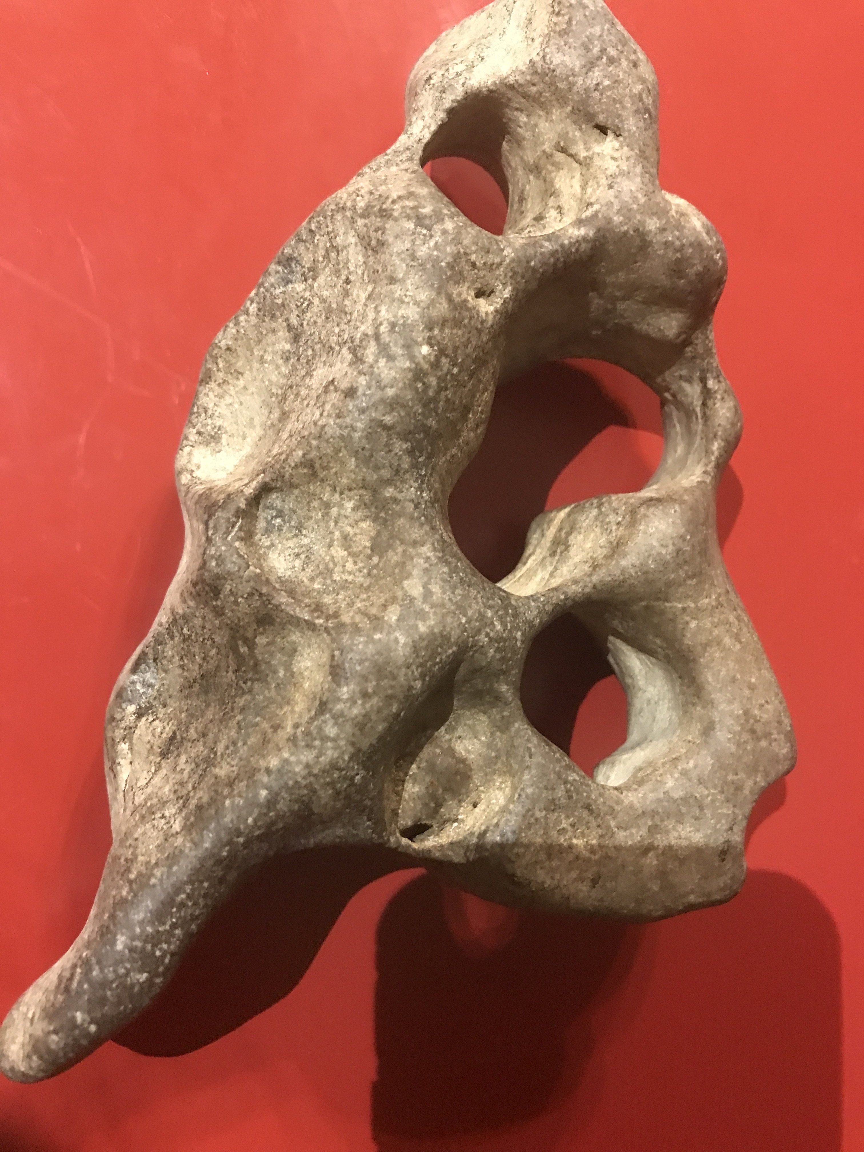 What kind of rock is this??