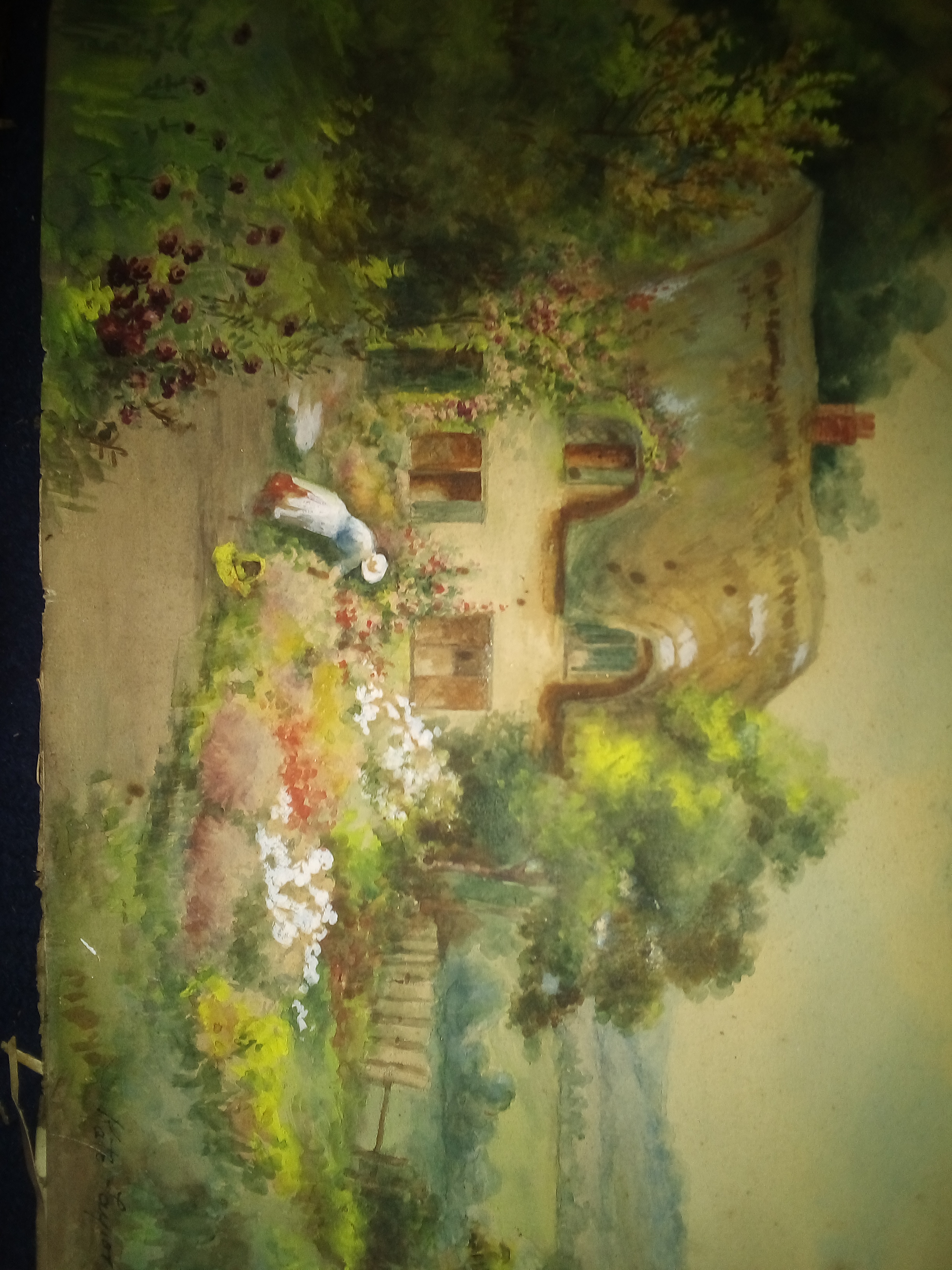 Woman in garden