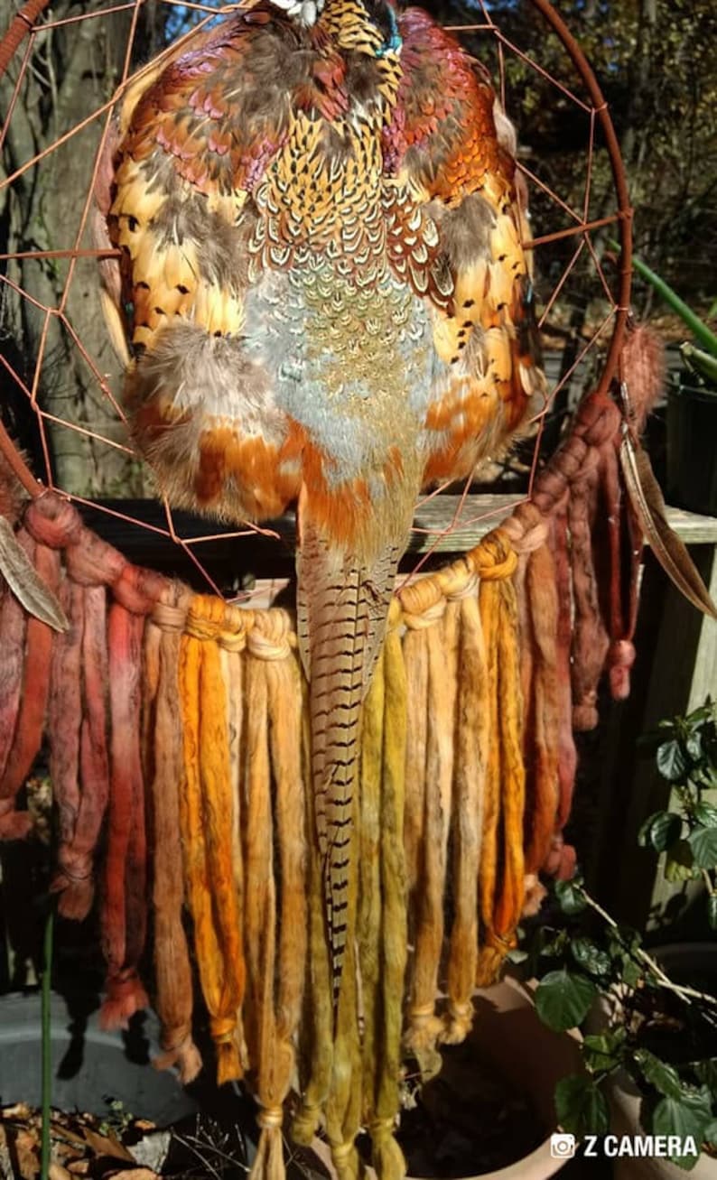 Big (55" X 26"), Beautiful Dream Catcher w/Feathers making a Pheasant Real? Souvenir